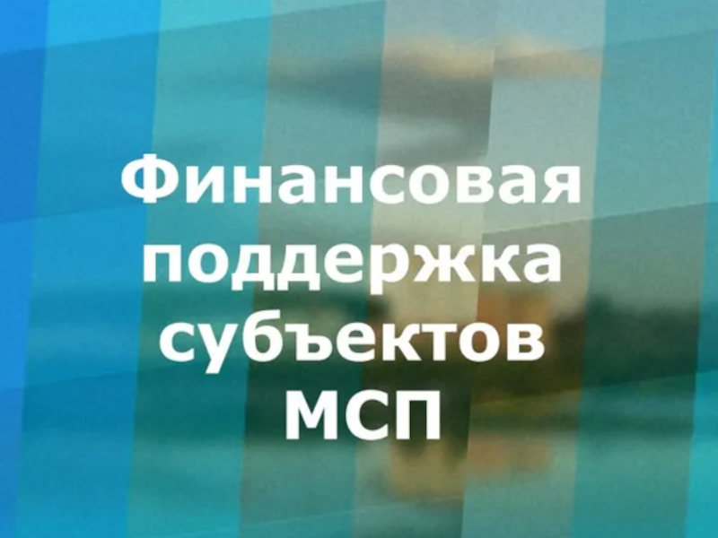Финансовая поддержка субъектов малого и среднего предпринимательства.